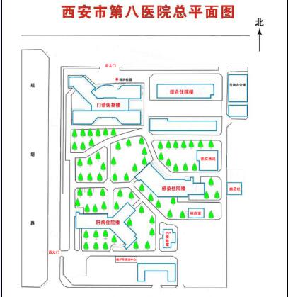 21点技巧