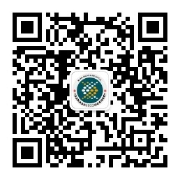21点技巧