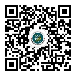 21点技巧